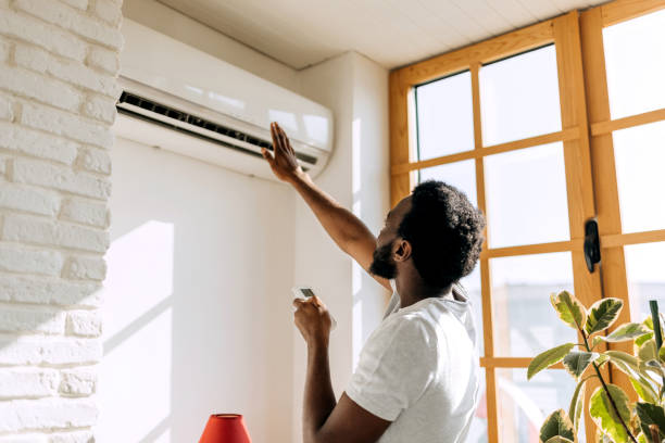 Best HVAC air duct cleaning  in Chesaning, MI